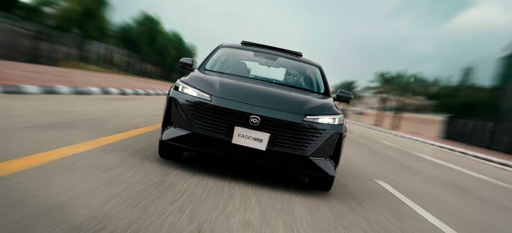 Direccion con asistencia electrica.